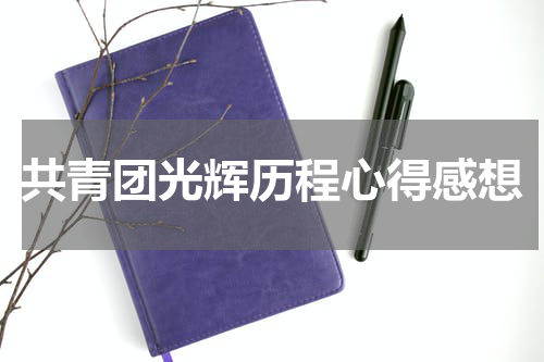 共青团光辉历程心得感想