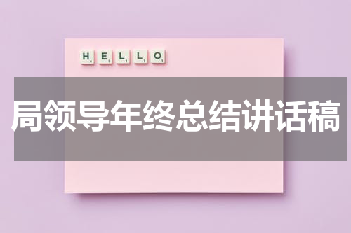 局领导年终总结讲话稿