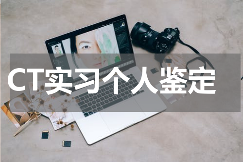 CT实习个人鉴定