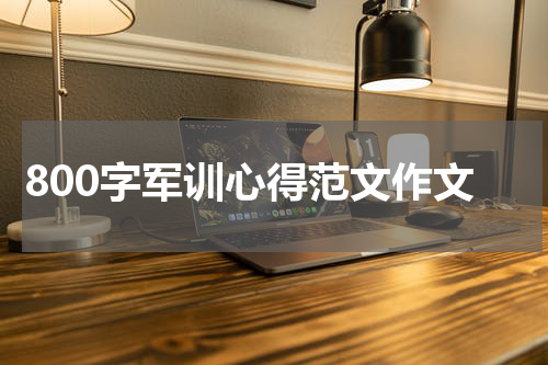 800字军训心得范文作文