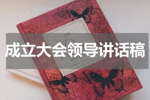 成立大会领导讲话稿