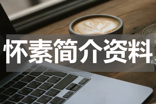 怀素简介资料