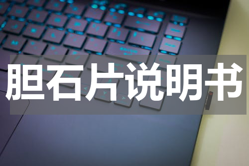 胆石片说明书