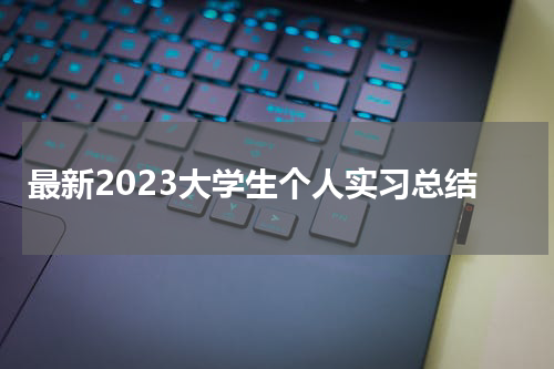 最新2023大学生个人实习总结