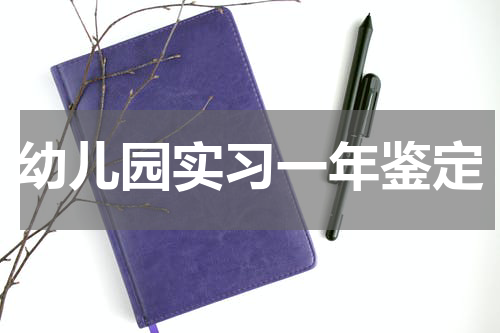 幼儿园实习一年鉴定