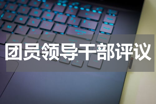 团员领导干部评议