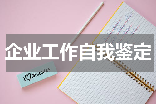 企业工作自我鉴定
