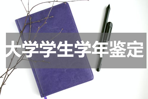 大学学生学年鉴定