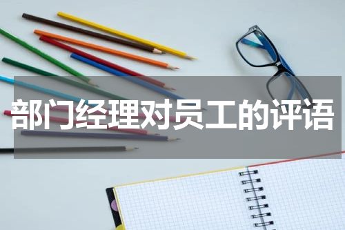 部门经理对员工的评语