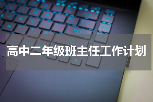 高中二年级班主任工作计划