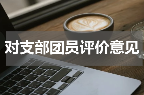 对支部团员评价意见