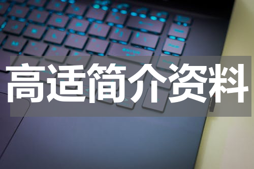 高适简介资料