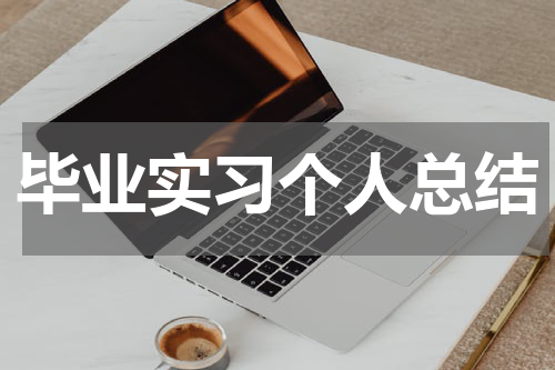 毕业实习个人总结