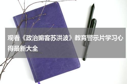 观看《政治掮客苏洪波》教育警示片学习心得最新大全