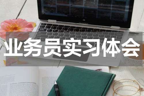 业务员实习体会