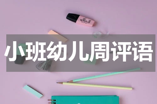 小班幼儿周评语