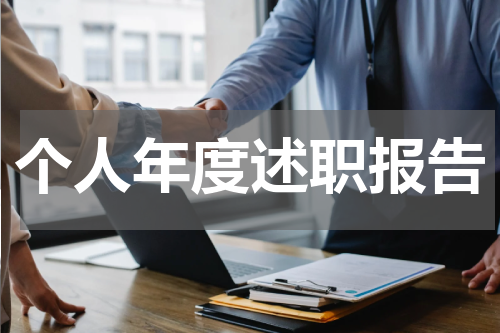 个人年度述职报告