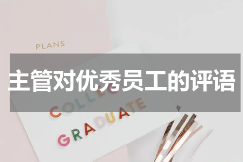 主管对优秀员工的评语