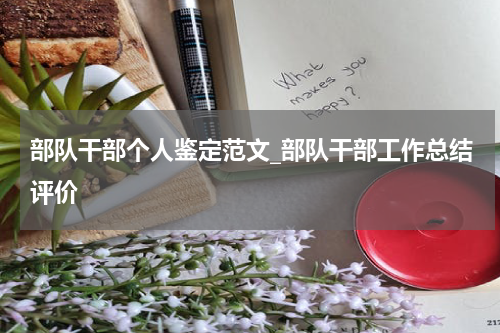 部队干部个人鉴定范文_部队干部工作总结评价