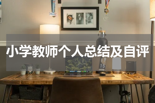 小学教师个人总结及自评