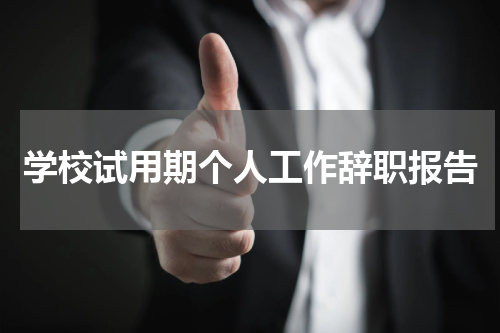 学校试用期个人工作辞职报告