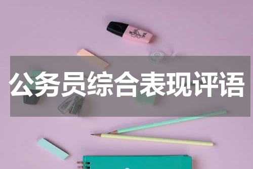 公务员综合表现评语