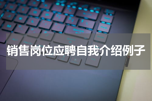 销售岗位应聘自我介绍例子