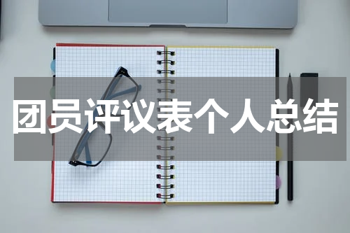 团员评议表个人总结