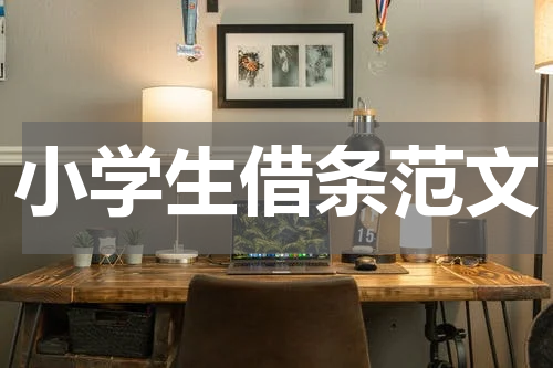 小学生借条范文