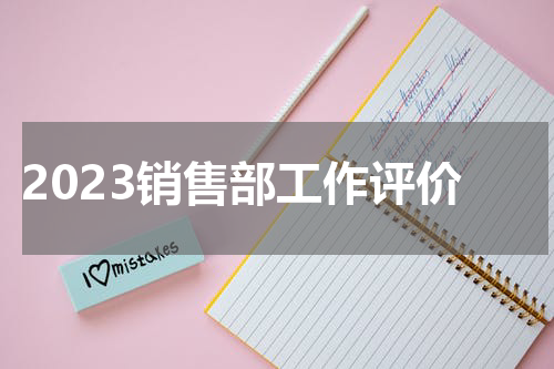 2023销售部工作评价