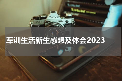 军训生活新生感想及体会2023