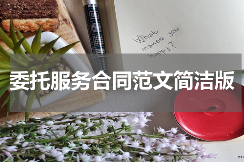 委托服务合同范文简洁版