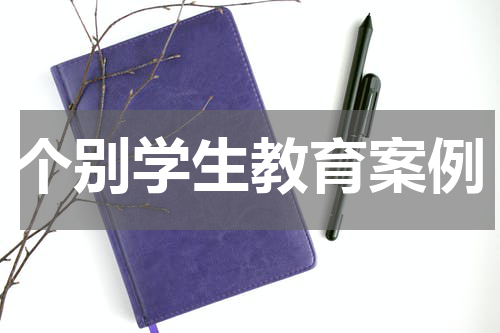 个别学生教育案例