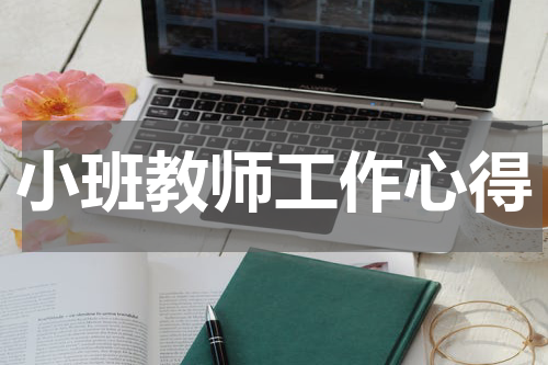 小班教师工作心得