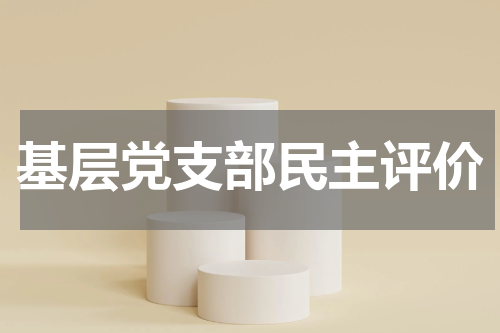 基层党支部民主评价