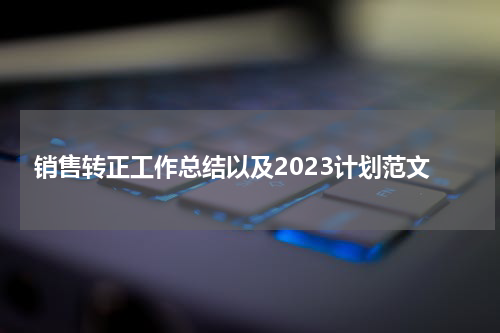 销售转正工作总结以及2023计划范文