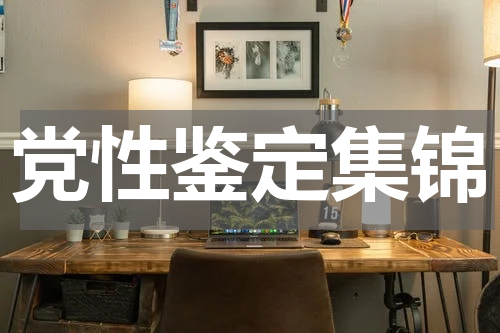 党性鉴定集锦