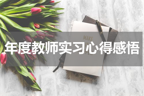 年度教师实习心得感悟