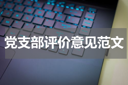 党支部评价意见范文
