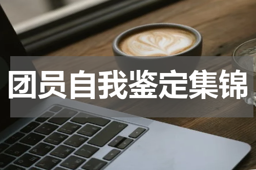 团员自我鉴定集锦