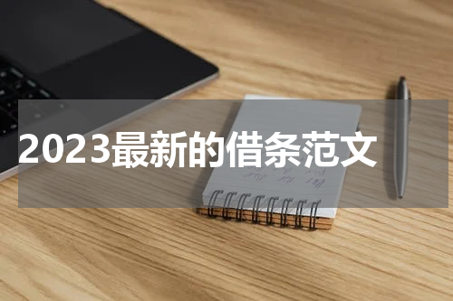 2023最新的借条范文