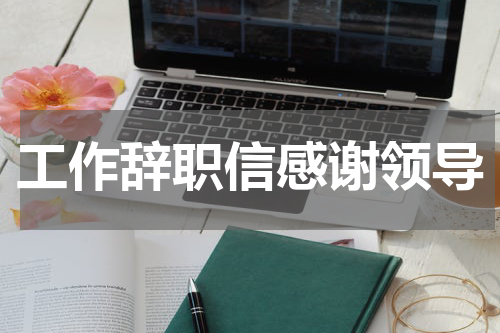 工作辞职信感谢领导