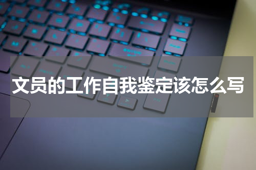 文员的工作自我鉴定该怎么写