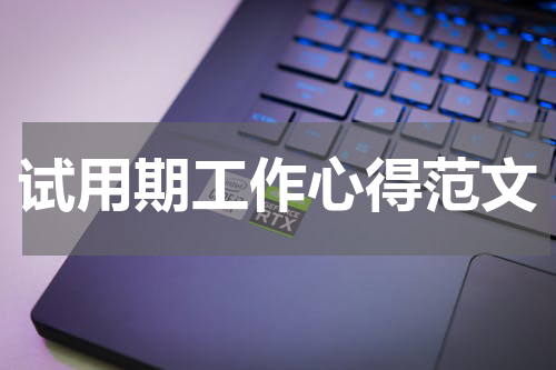 试用期工作心得范文