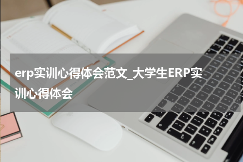 erp实训心得体会范文_大学生ERP实训心得体会