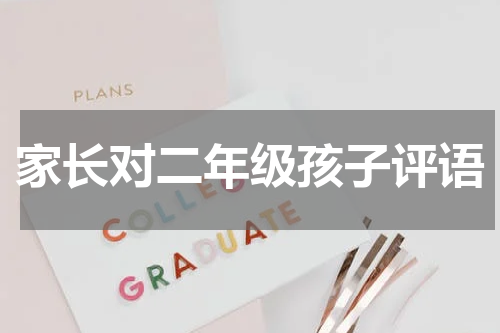 家长对二年级孩子评语