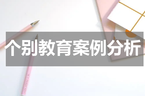 个别教育案例分析