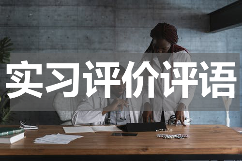 实习评价评语