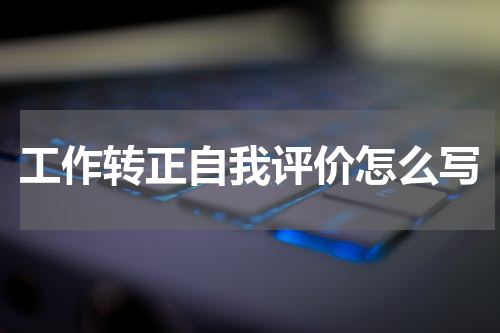 工作转正自我评价怎么写