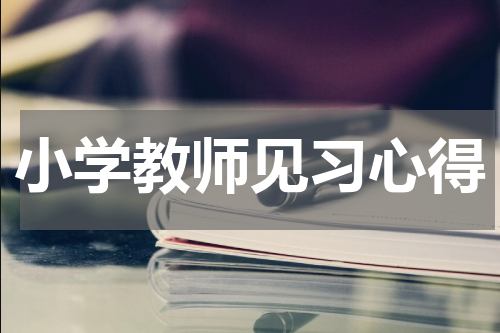 小学教师见习心得